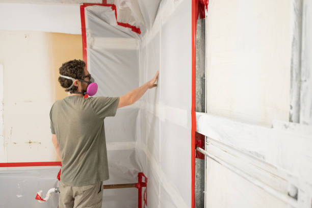 Best HVAC Mold Inspection and Cleaning  in Plentywood, MT