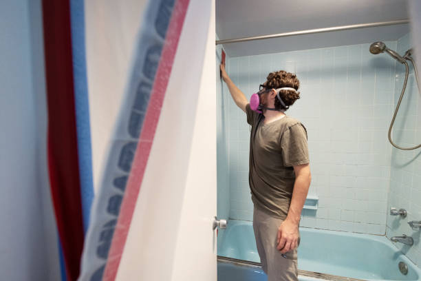 Best Mold Odor Removal Services  in Plentywood, MT