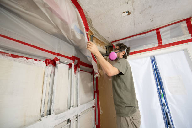 Best Attic Mold Removal  in Plentywood, MT