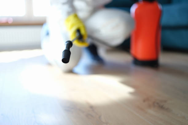 Best Mold Removal for HVAC Installations  in Plentywood, MT