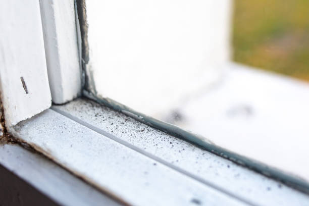 Mold Remediation for Rental Properties in Plentywood, MT