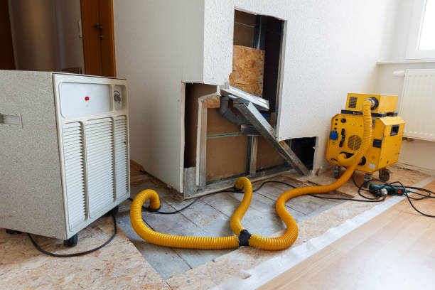 Reliable Plentywood, MT Mold Removal Solutions