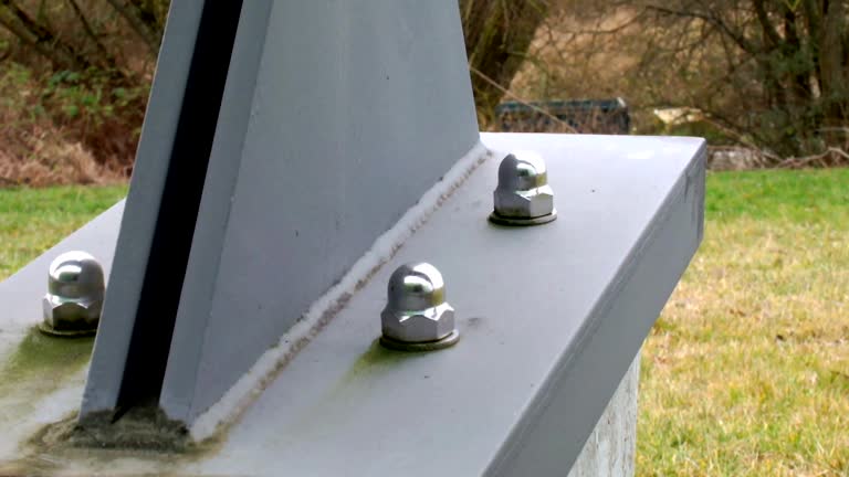 Best Environmental Consulting for Mold Prevention  in Plentywood, MT